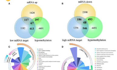 又一個超簡單的5分非腫瘤疾病思路，趕緊碼上！
