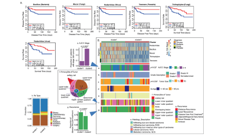 Nature子刊：乳腺癌亞型微生物群落與預后的相關性