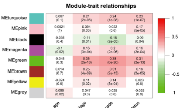 生信分析結(jié)合濕實(shí)驗(yàn)構(gòu)建ccRCC預(yù)后模型發(fā)8+SCI