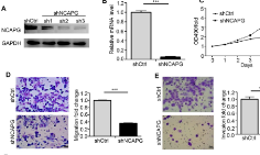 純生信已經(jīng)不熱了，快來看看干濕實驗結(jié)合發(fā)27+文章吧