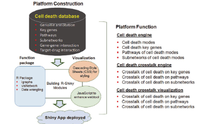 SXR202204030C + 這個(gè)細(xì)胞死亡數(shù)據(jù)庫，你必須要知道！