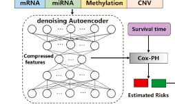 看作者如何使用深度學(xué)習(xí)結(jié)合多組學(xué)數(shù)據(jù)構(gòu)建癌癥預(yù)后模型