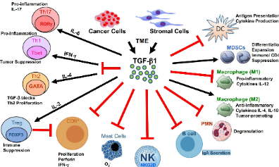 生信人TGF-β系列專題2：純生信分析思路匯總