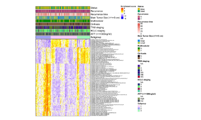 肝癌NMF純生信分型發(fā)11+