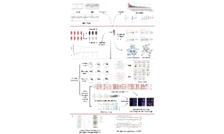 Bulk聯合單細胞的單基因泛癌分析