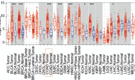 單基因生信分析還能發6+SCI