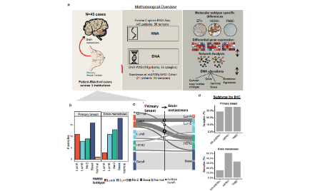 SXR20220101053C+乳腺癌腦轉移分子亞型的特異性基因組特征