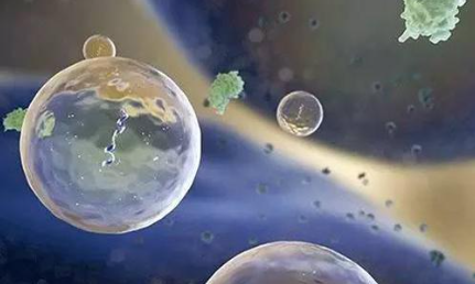 NAR期刊認證的細胞間通訊工具