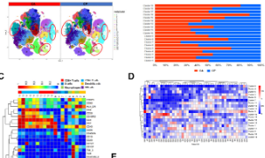 《Cancers》 | 單細胞蛋白質組學干濕結合分析解析肌肉浸潤性膀胱癌腫瘤微環境的復雜性