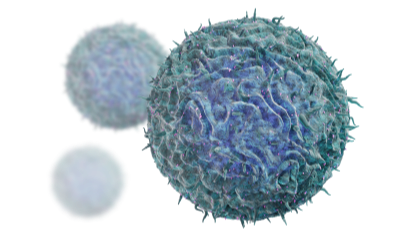 一文帶你了解T細(xì)胞發(fā)育和分類