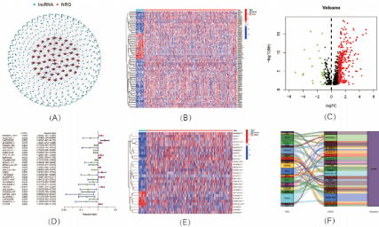 SXR202205012C-麻辣鴨脖-壞死性凋亡相關基因的第101種玩法之lncRNA