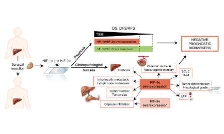 缺氧的meta-analysis怎么做？