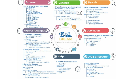 第一個癌癥蛋白質編碼RNA與藥物相關性的數據庫