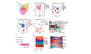 腫瘤微環境與耐藥結合新思路，純生信發8+