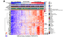 13+腫瘤研究的核心科學問題：免疫+分型+預后