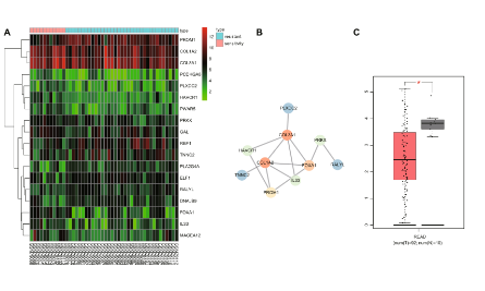 十分鐘讓你收獲CAFs源外泌體思路