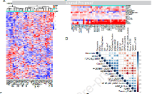 8+生信文章鑒賞，教你如何做腫瘤分子分型
