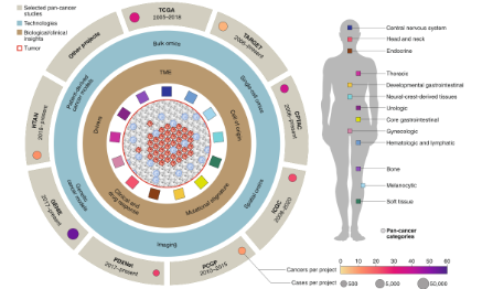 泛癌研究從基礎研究走向臨床