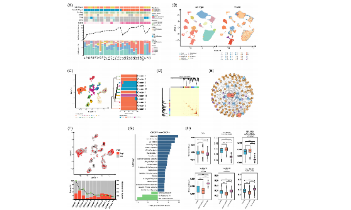 SXR202302037C_jing_13+晝夜節律相關的單細胞預后思路分享