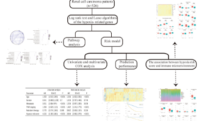 SXR202203016B+腫瘤微環境與缺氧的研究思路匯總