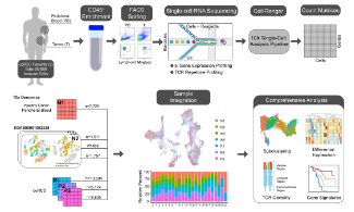 單細胞組學+腫瘤免疫微環境+預后
