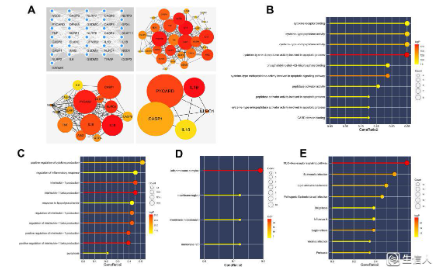細胞焦亡專題--腫瘤生信文章年度總結(jié)