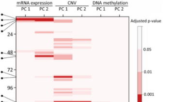 卷積神經(jīng)網(wǎng)絡(luò)結(jié)合多組學(xué)數(shù)據(jù)構(gòu)建預(yù)測生存模型