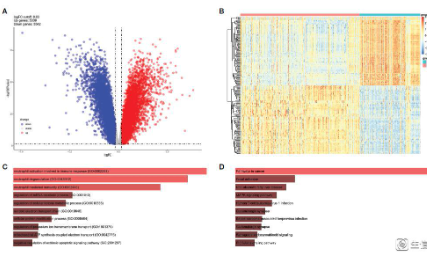 助力非腫瘤疾病研究：萬能7+單細胞聯(lián)合bulk數(shù)據(jù)思路