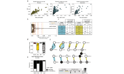27分的泛癌合成致死預測
