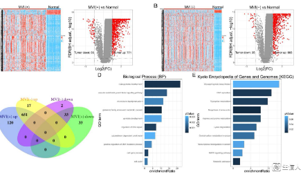 發10分的預后模型到底做了什么？