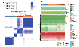 DNA甲基化預(yù)后相關(guān)亞型的第101種識(shí)別方法