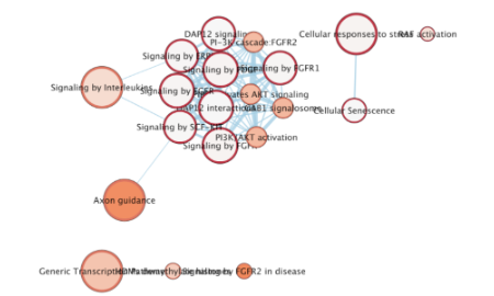 手把手教你一個不一樣的通路富集分析工具——ActivePathways