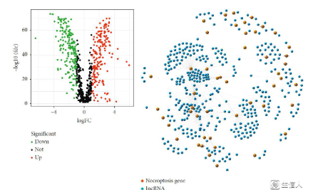 熱點實戰：第一篇壞死性凋亡純生信文章