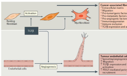 生信人TGF-β系列專題1—癌癥中的矛盾體