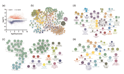 3步？純生信？就這也能發(fā)6+？