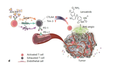 這篇6+生信文章，讀起來一點也不油膩（多熱點聯合，驗證有技巧）