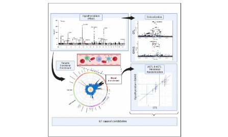 Post-GWAS時(shí)代藥物靶標(biāo)孟德?tīng)栯S機(jī) — 藏在基因的隨機(jī)雙盲試驗(yàn)兩次登頂Nature