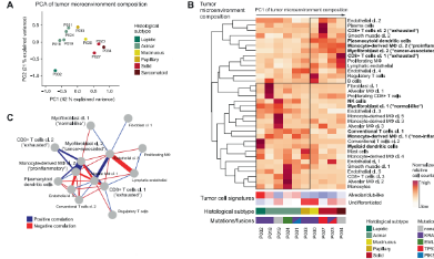 為什么別人的常規單細胞分析就可以發Oncogene？[夾帶干貨]