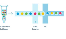 自然計算科學：使用神經(jīng)網(wǎng)絡對基因調控網(wǎng)絡建模