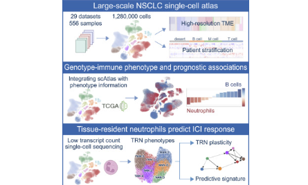 多平臺單細胞數據集整合分析發Cancer cell！
