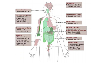 SXR202204025C CAMOIP，關(guān)于追“星”這件事