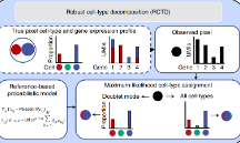 基于空間轉(zhuǎn)錄組的細(xì)胞類型識(shí)別工具RCTD
