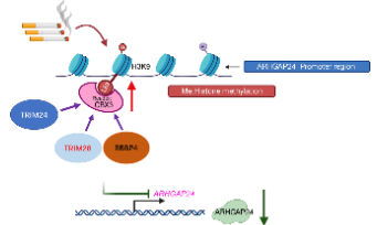 Oncogene|干濕結(jié)合又能蹭熱點(diǎn)，就這么干！