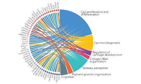 一文讀懂基因富集分析：從小白到SCI