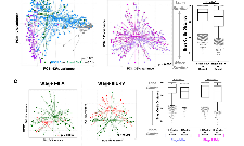 高分巨獻(xiàn)！呼吸道菌群失調(diào)影響肺癌進(jìn)展