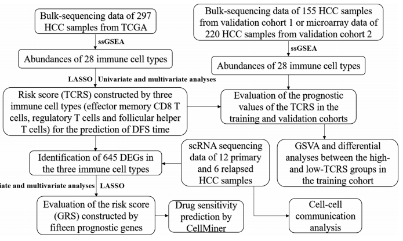 一學就會的8+單細胞免疫預后思路分享