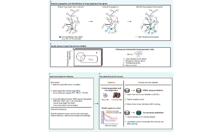 基于網絡的機器學習方法預測癌癥患者的免疫治療反應