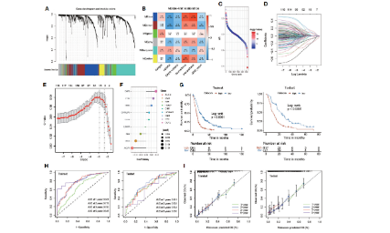 SXR202211007C+又一生信發文新熱點：失巢凋亡! 8+腫瘤純生信