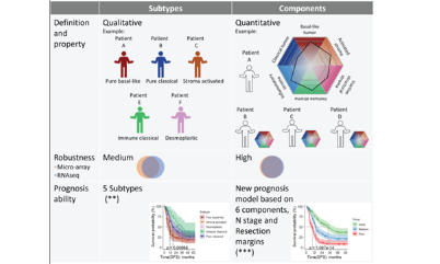 12+預后分析新思路