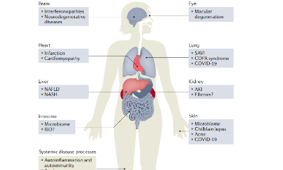 連續(xù)兩年登頂Nature的STING有何魅力？